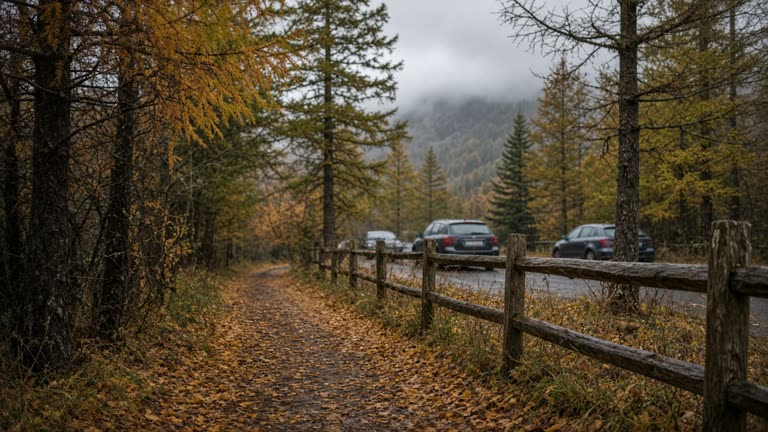 Lake District woodland path with golden larch needles underfoot and parked cars blurred behind a simple wooden barrier, low cloud on fells, damp jackets, no logos or readable text.