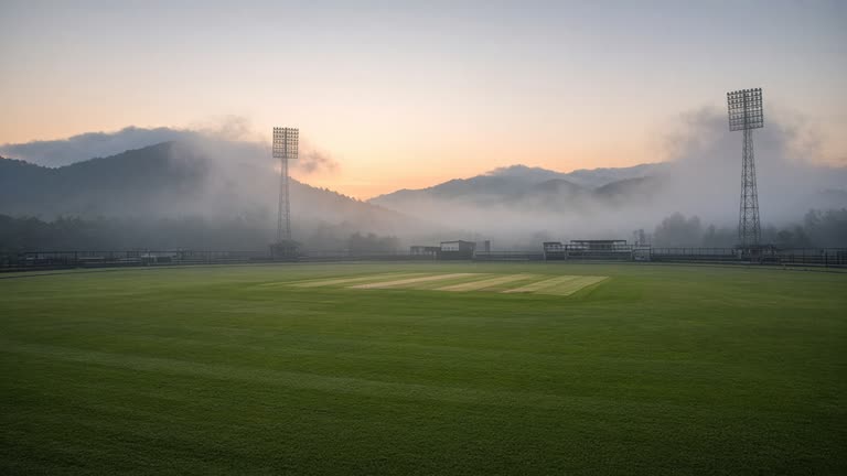 Empty cricket stadium outfield at dawn with roller marks on the pitch square, mist over floodlight towers, Jharkhand hills in the distance, no logos or readable text